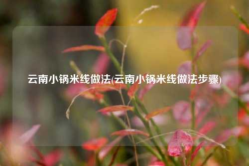 云南小锅米线做法(云南小锅米线做法步骤)