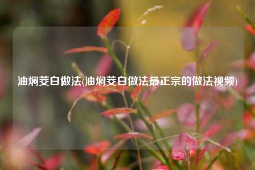 油焖茭白做法(油焖茭白做法最正宗的做法视频)
