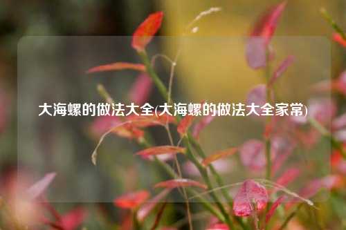 大海螺的做法大全(大海螺的做法大全家常)