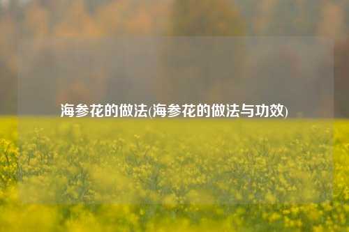 海参花的做法(海参花的做法与功效)