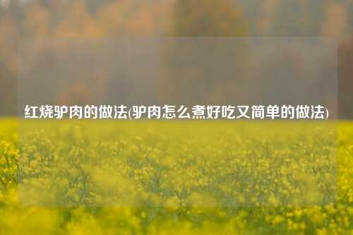 红烧驴肉的做法(驴肉怎么煮好吃又简单的做法)