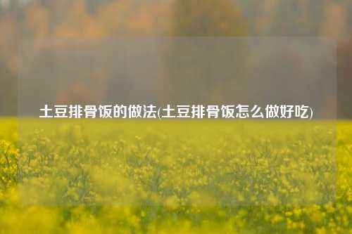 土豆排骨饭的做法(土豆排骨饭怎么做好吃)