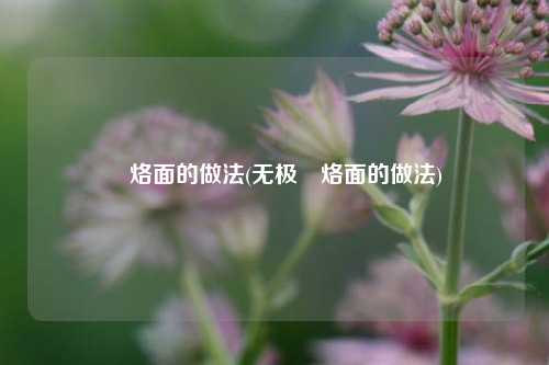 饸烙面的做法(无极饸烙面的做法)