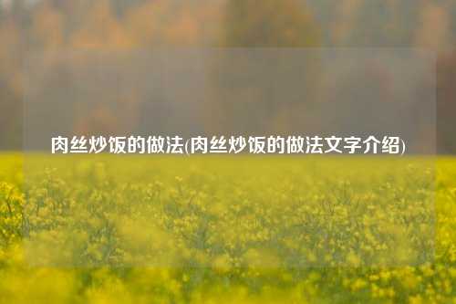肉丝炒饭的做法(肉丝炒饭的做法文字介绍)