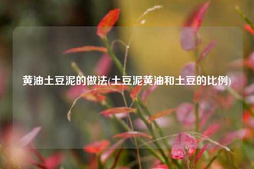 黄油土豆泥的做法(土豆泥黄油和土豆的比例)