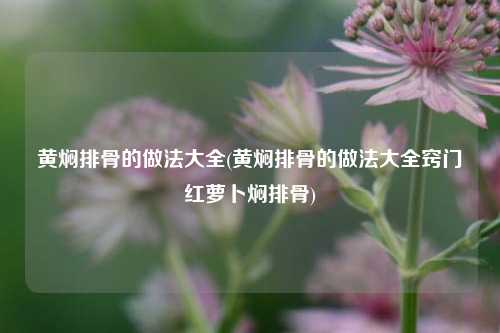 黄焖排骨的做法大全(黄焖排骨的做法大全窍门红萝卜焖排骨)