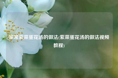 家常紫菜蛋花汤的做法(紫菜蛋花汤的做法视频教程)