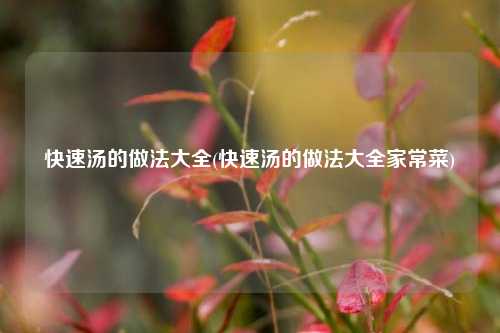 快速汤的做法大全(快速汤的做法大全家常菜)