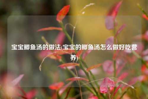 宝宝鲫鱼汤的做法(宝宝的鲫鱼汤怎么做好吃营养)