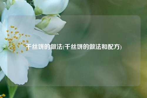 千丝饼的做法(千丝饼的做法和配方)