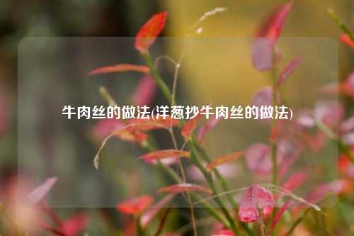 牛肉丝的做法(洋葱抄牛肉丝的做法)