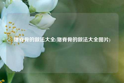 猪脊骨的做法大全(猪脊骨的做法大全图片)