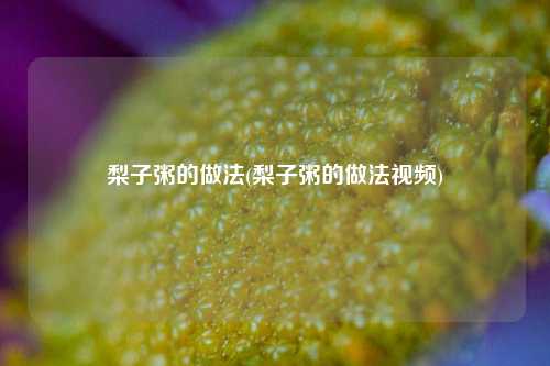 梨子粥的做法(梨子粥的做法视频)
