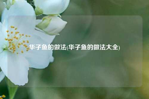 华子鱼的做法(华子鱼的做法大全)