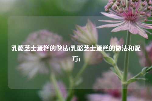 乳酪芝士蛋糕的做法(乳酪芝士蛋糕的做法和配方)